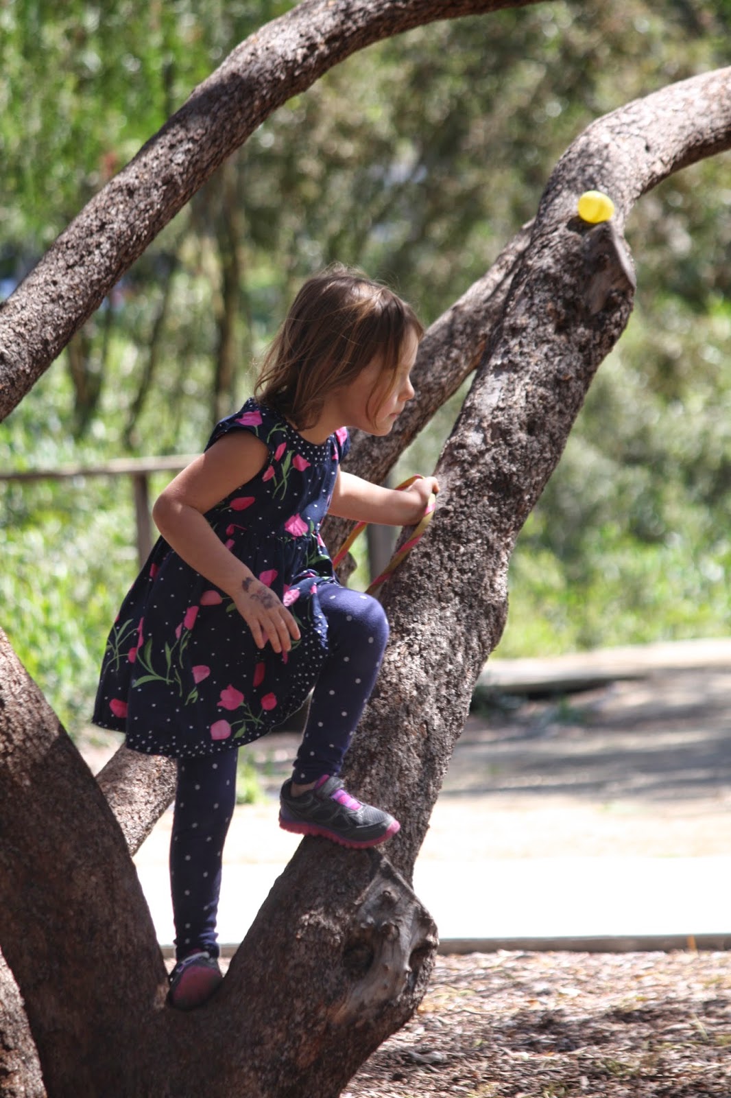 girl  climbing tree