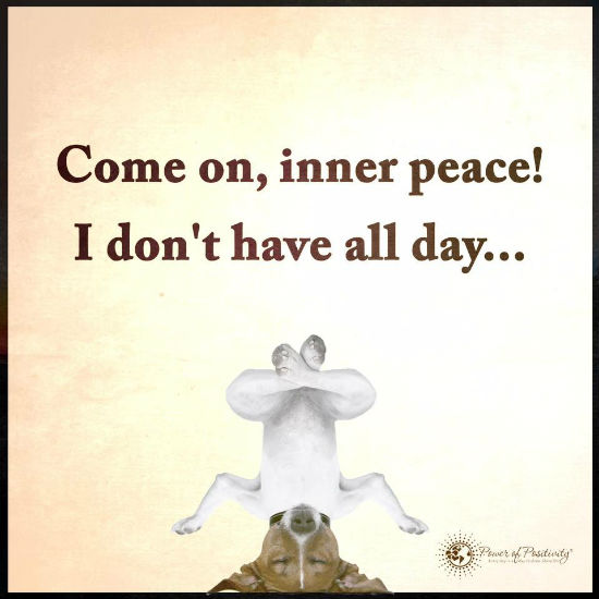 come on inner peace i dont have all day 101 quotes allday quotes