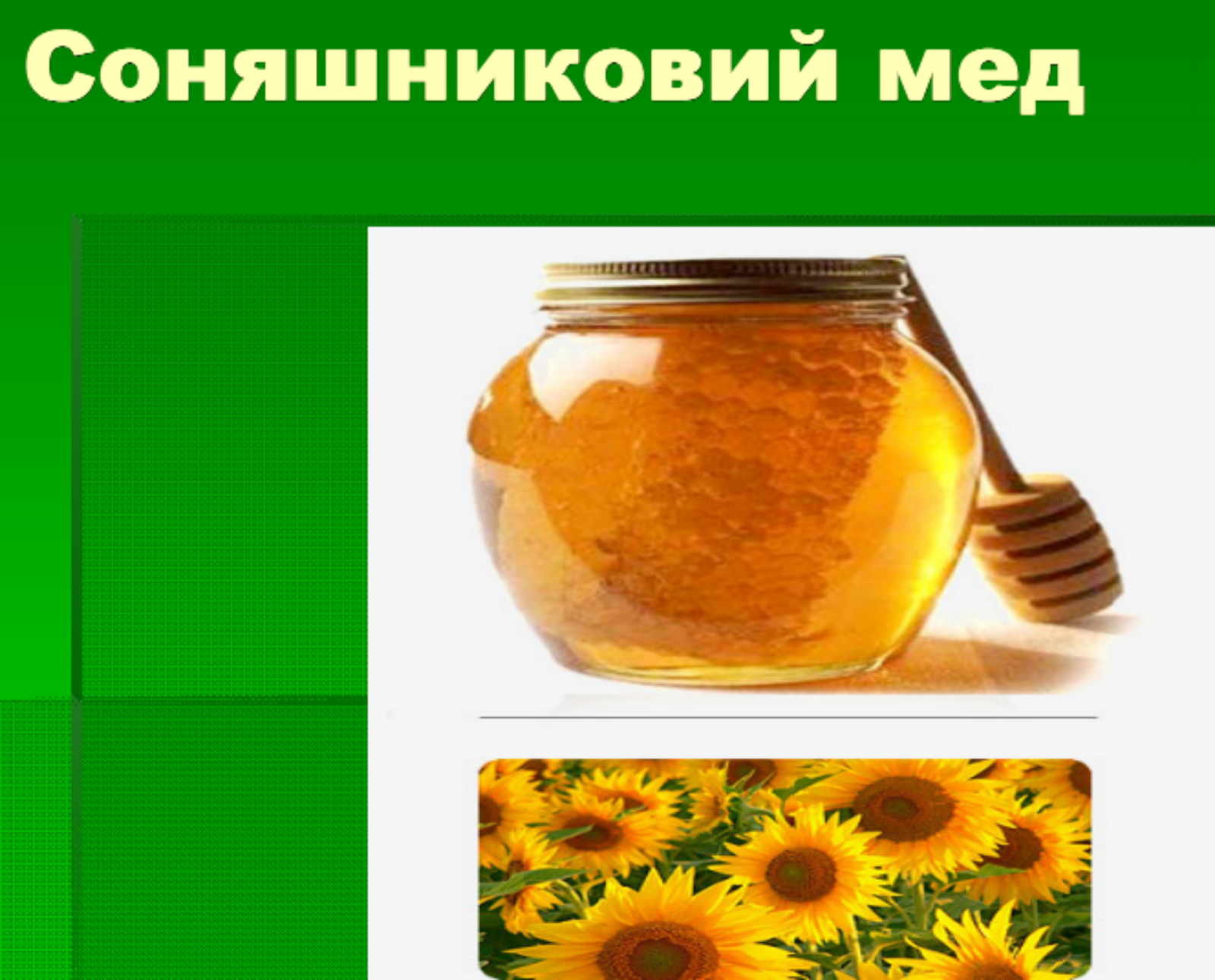 Причини, які призводять до швидкого зацукровування меду з соняшника