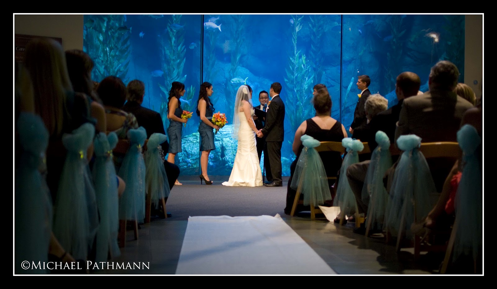 Pathmann Photography Long Beach Aquarium Wedding Long Beach Aquarium Wedding