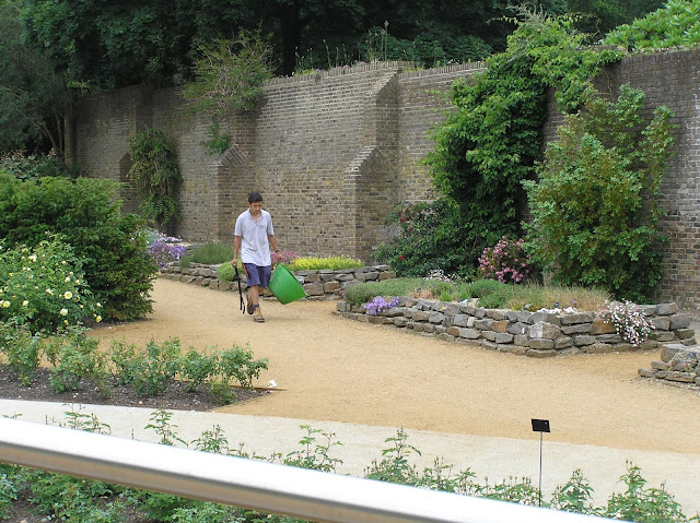 The Savill Garden wyniesione rabaty pod murem
