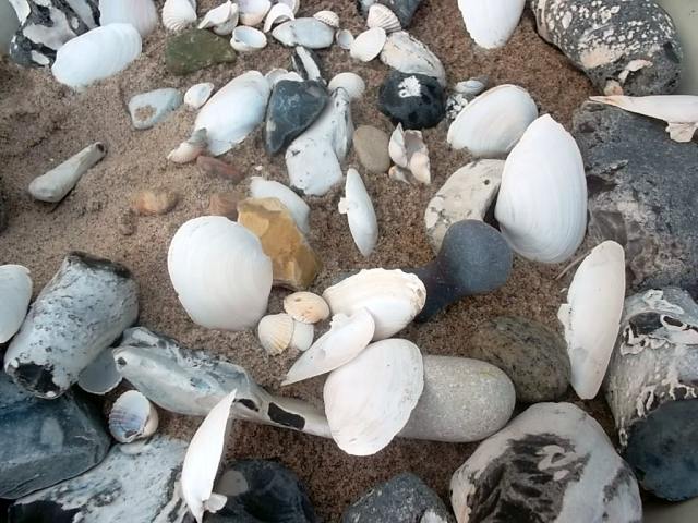 Tolle Deko Ideen Fur Muscheln Und Sand Aus Dem Reiseland Wohnen