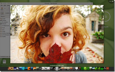 picasa photo viewer for windows 10