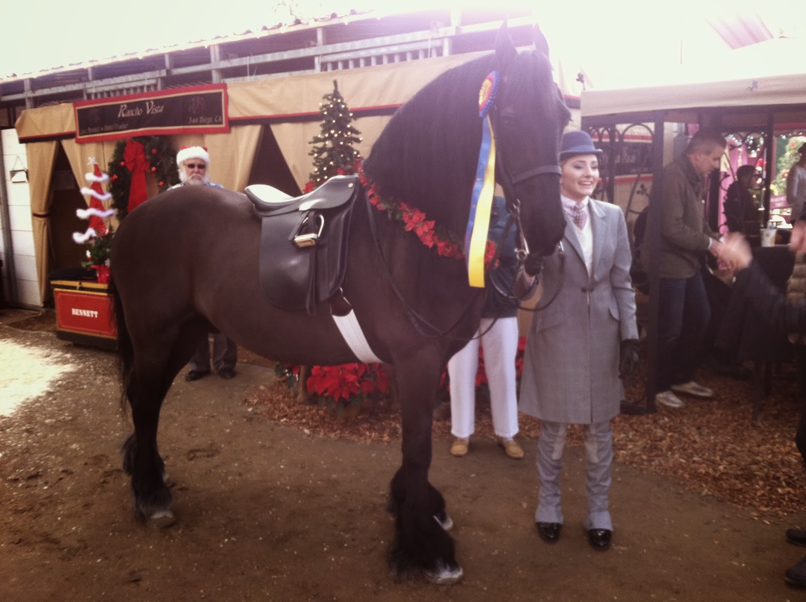 So Cal Annual Jingle Bell Horse Show 12182013 Del Mar