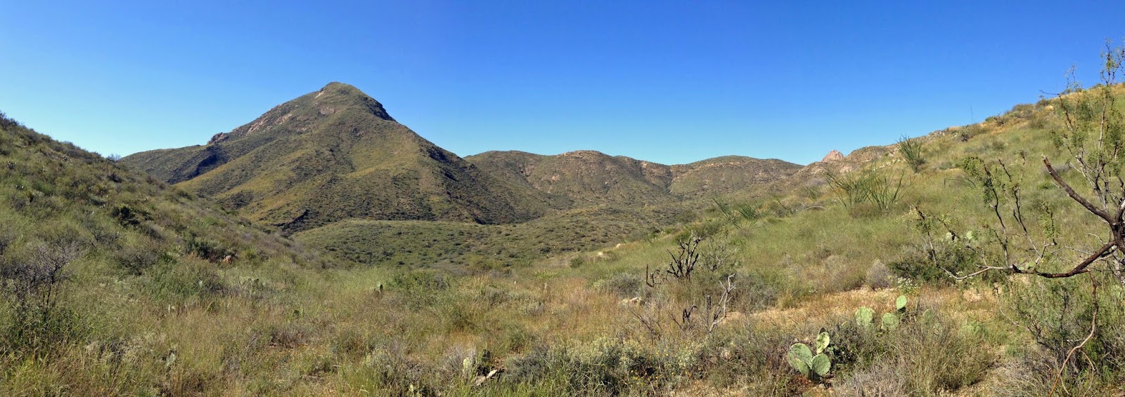 Dodson Trail, Big Bend National Park