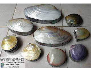 Sea Shell Trinket Boxes from Bali Indonesia