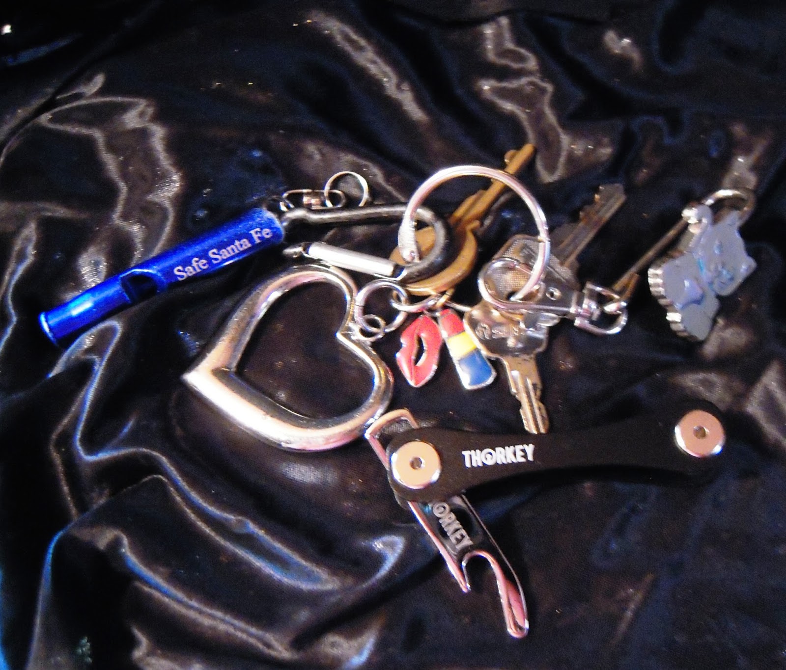 Product Reviews by Missy Anne Compact Key Holder Organizer By ThorKey