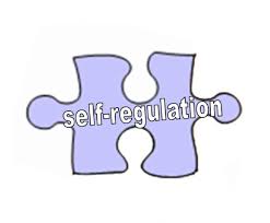 What is self-regulation?