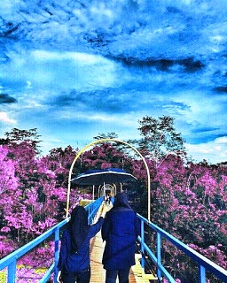 10 Tempat Wisata Favorit yang Wajib di Kunjungi di Lampung 10 Tempat Wisata Favorit yang Wajib di Kunjungi di Lampung