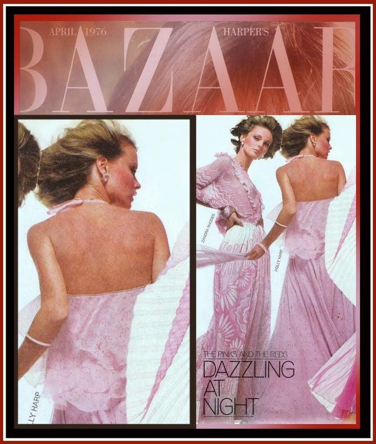 Dot Franny Designer File Albert Capraro