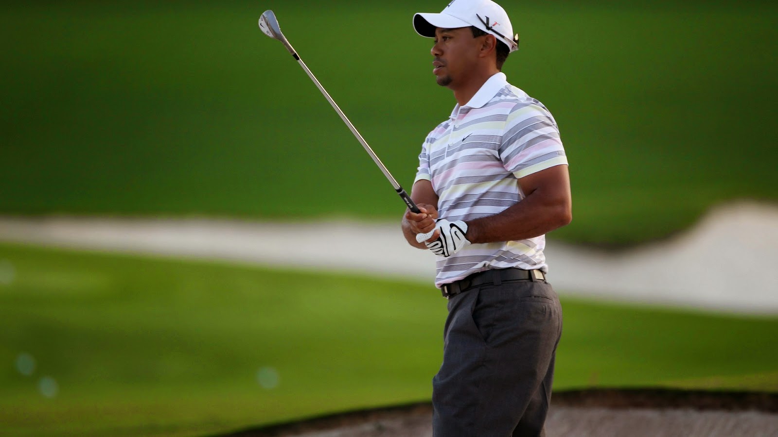 Tiger Woods is an American professional golfer who is among the most succes...
