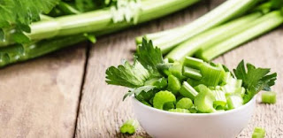 manfaat daun seledri untuk rambut manfaat daun seledri untuk rambut keriting, masker seledri dan telur untuk rambut, seledri untuk rambut bayi, manfaat seledri untuk rambut keriting, khasiat seledri untuk rambut lengkap, seledri membuat rambut keriting, seledri untuk rambut botak