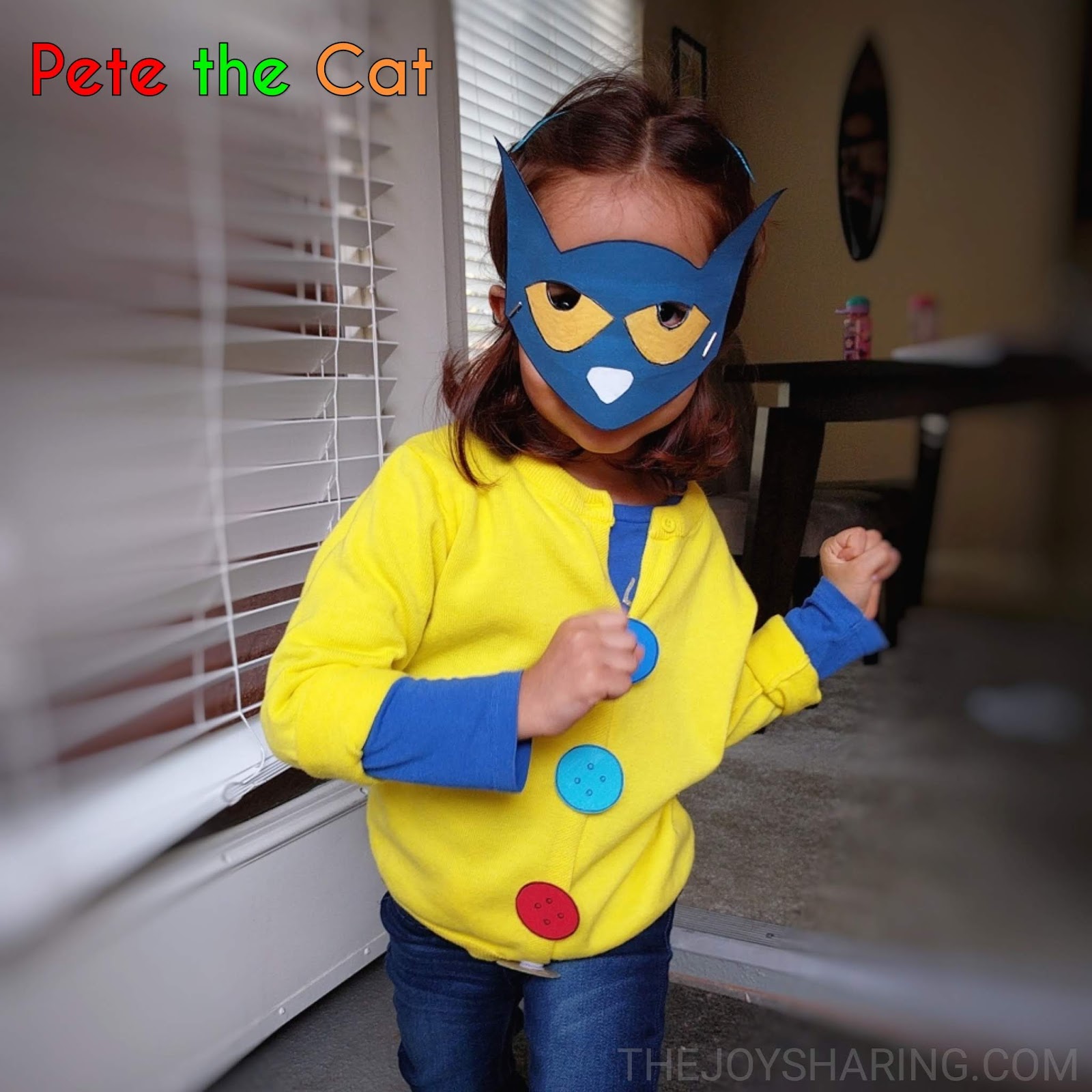 Pete The Cat Costume For Kids
