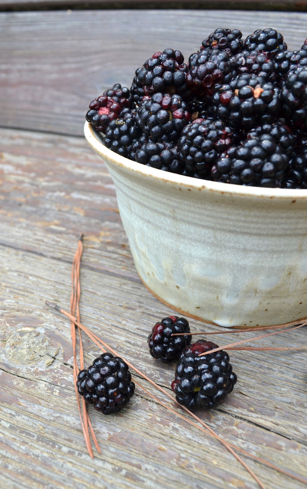 bonbons & biscotti Blackberry Lemon Thyme Jam