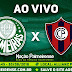 Jogo Palmeiras x Cerro Porteño Ao Vivo