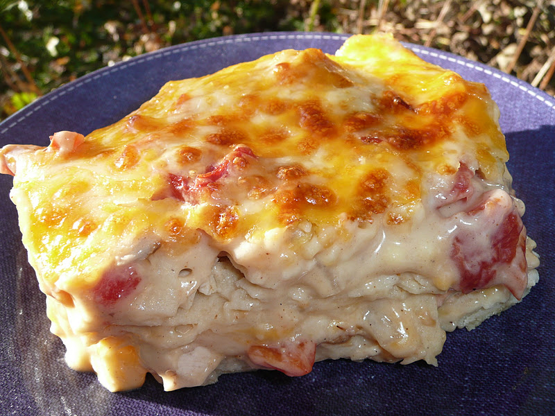 King Ranch Chicken Casserole in a Dutch Oven | Dutch Oven Recipes For Cooking Outdoors