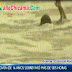 SANTIAGO DE CAO: Salvan a joven de morir ahogado después de estar 6 horas en el mar