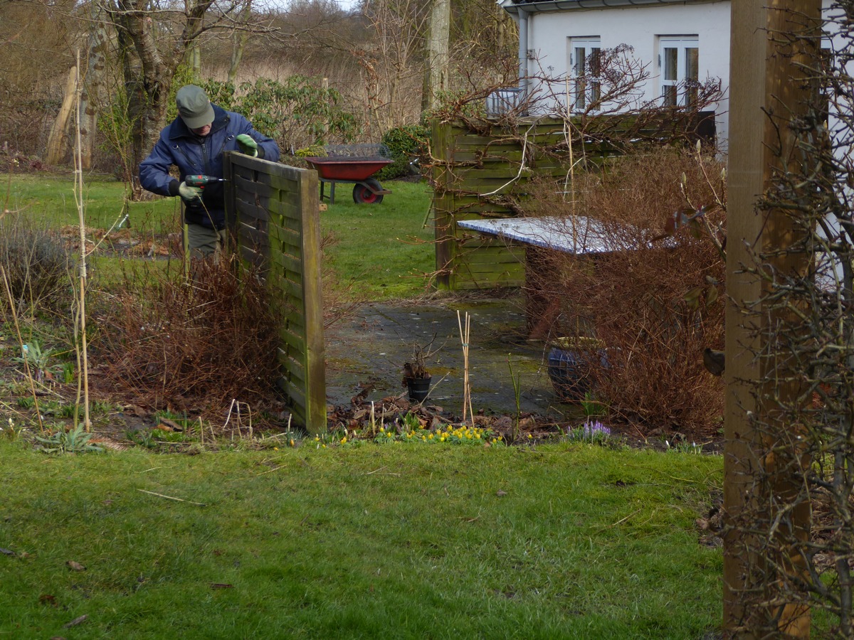 Høneballehaven: forårsbilleder, ønskebilleder og en pakke