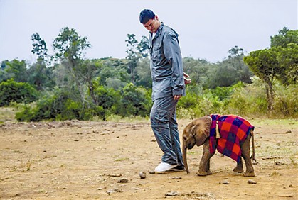Ming com um elefante bebé numa reserva natural do Quénia, onde gravou um documentário