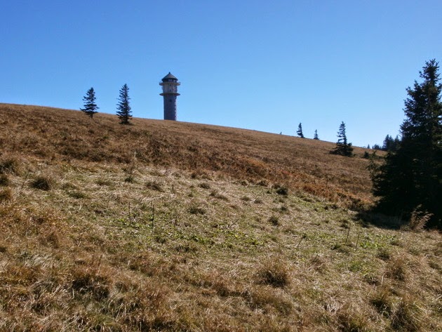 Der Schwarzwald Und Seine Natur 2014