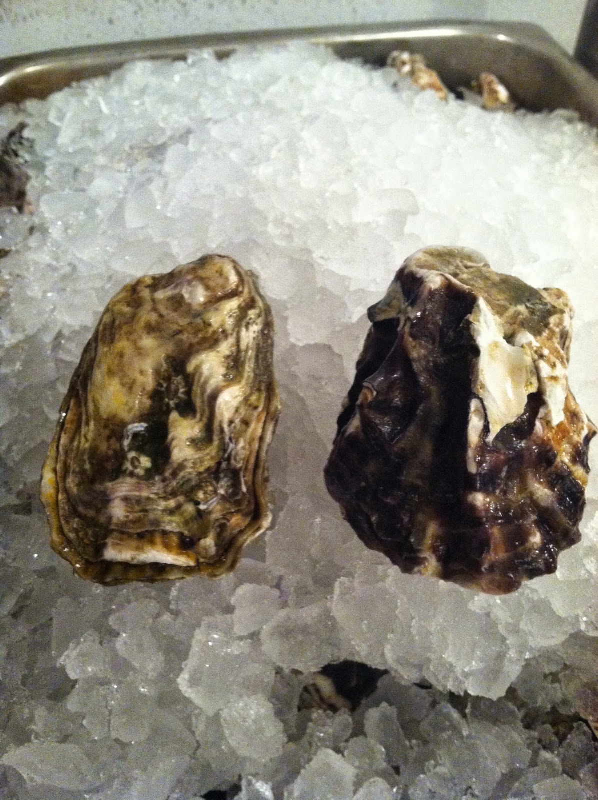 The Edible Ocean New Zealand Offers A "New" Gigas