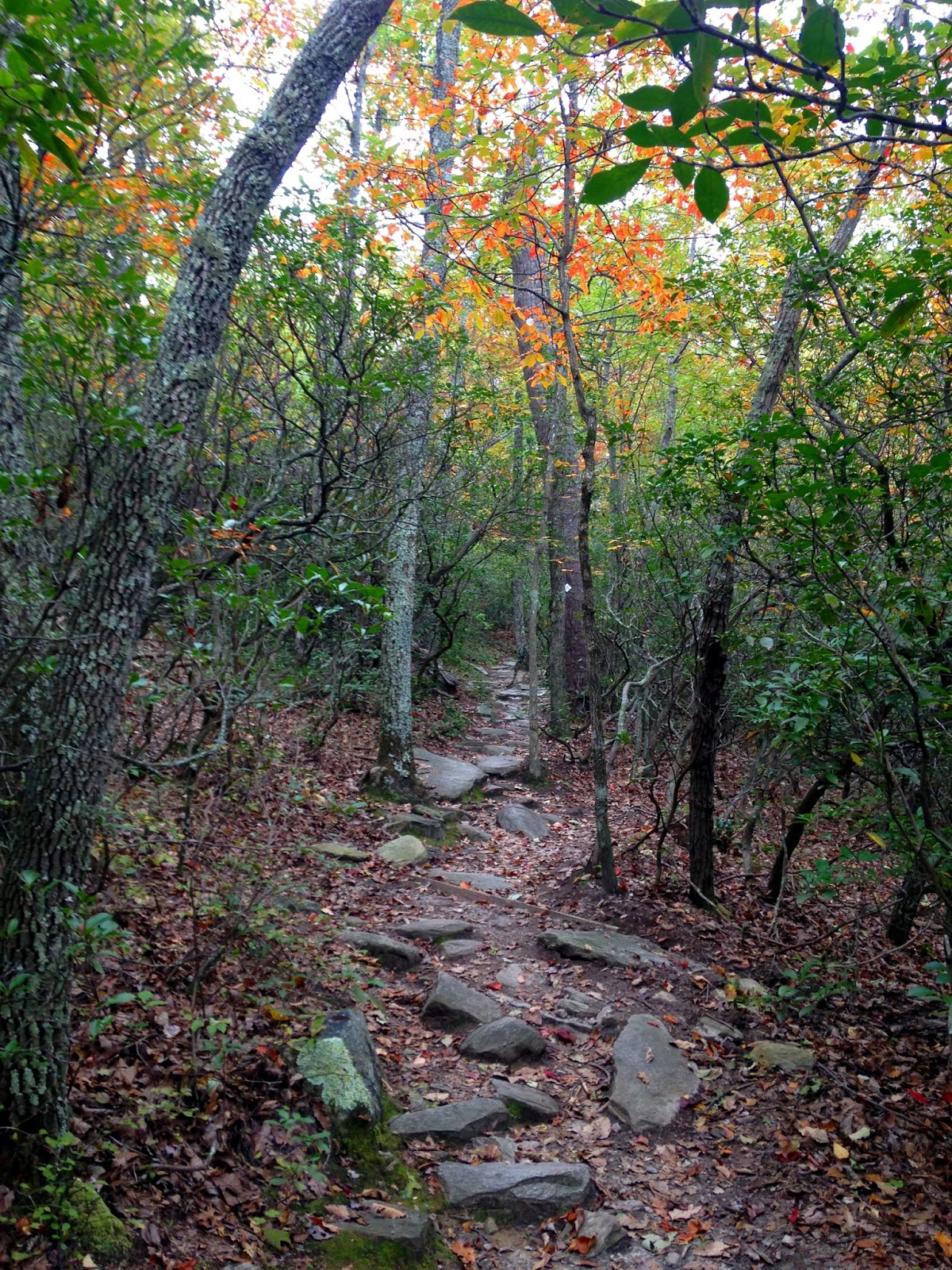 High Country Beta Pilot Mountain to Hanging Rock (PM2HR) 50K