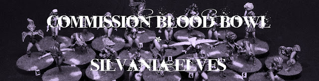 Blood Bowl Amazone Silvania Elves