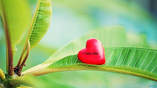 whatsapp i love you images whatsapp i love you images