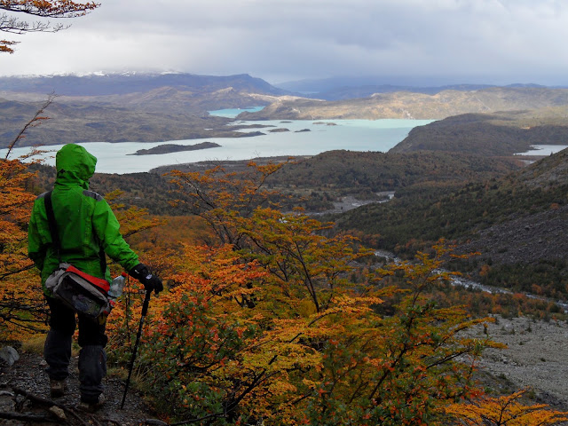 Tudo o que precisa saber para fazer o W, o melhor trek no Parque Nacional TORRES DEL PAINE | Chile