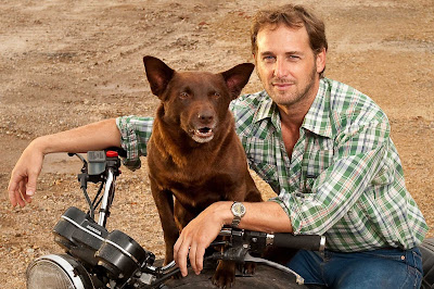 Red dog casino reviews 2021