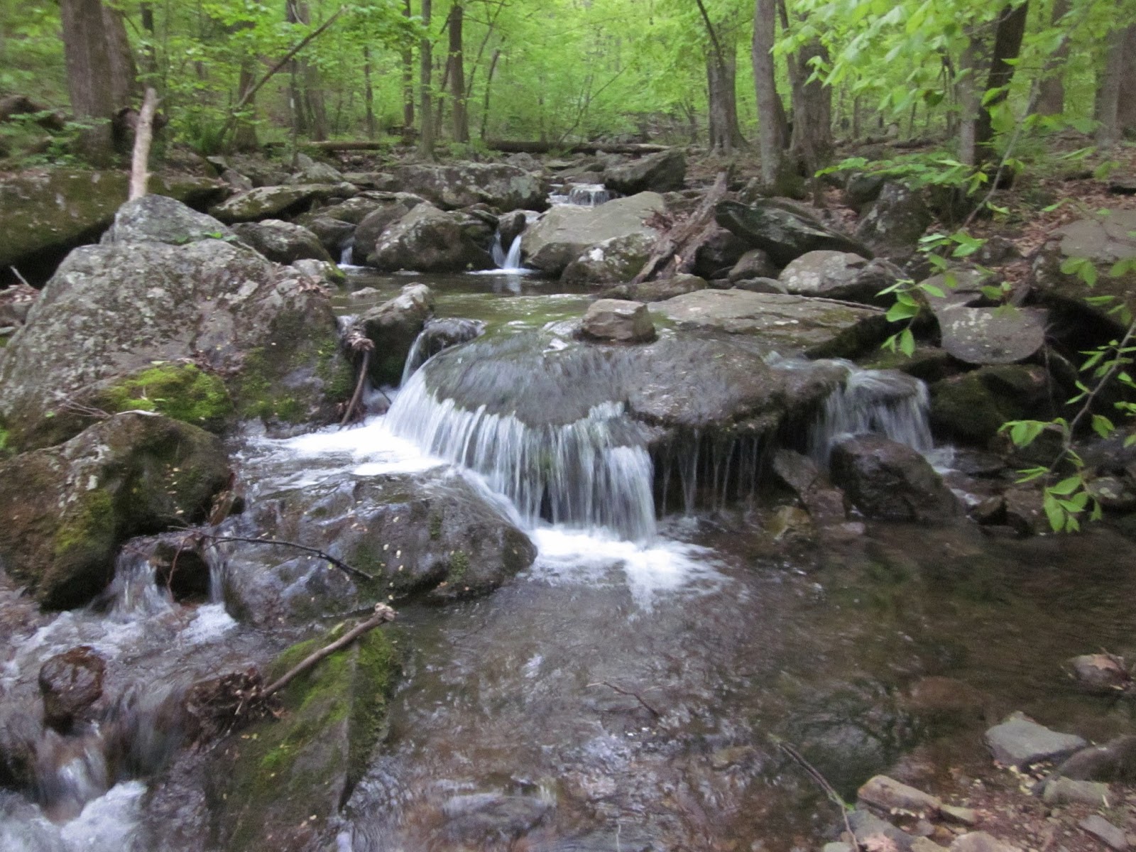 Smoky Scout's Hiking Adventures AT Project in VA Hello Rockfish Gap
