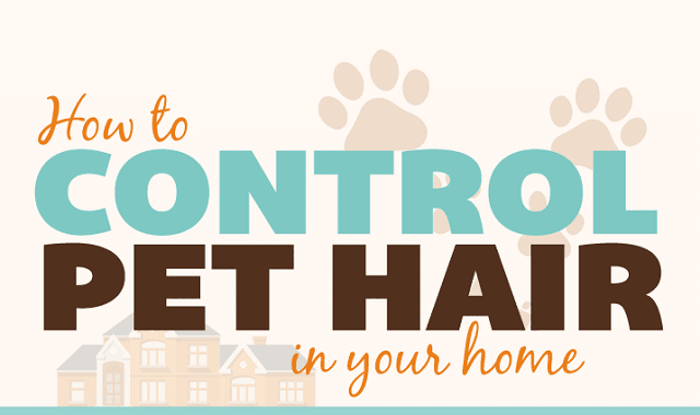 How to Control Pet Hair in your Home