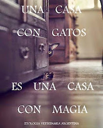 Reflexiones magistrales