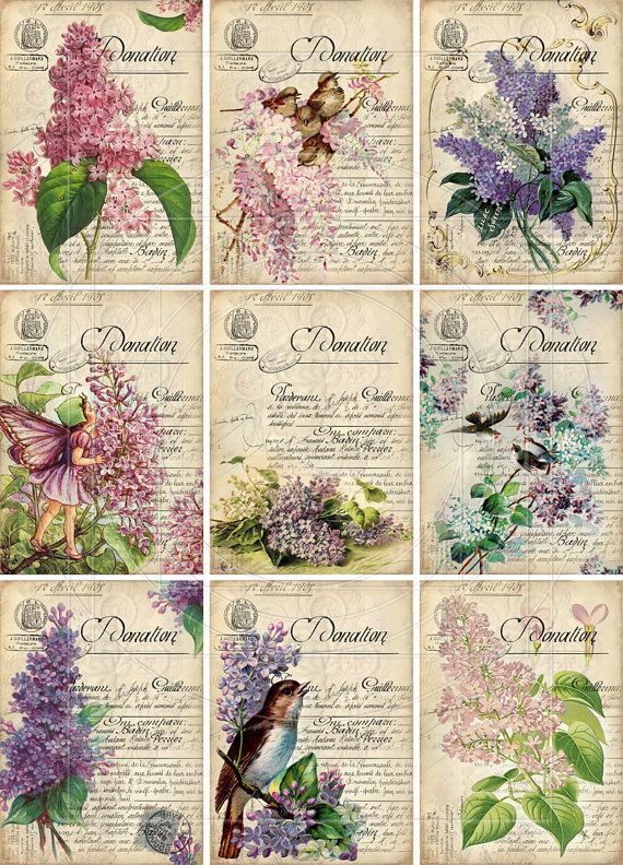 Amarelo...simples assim ! : Lâminas Flores Vintage (Vintage Blades Flowers)