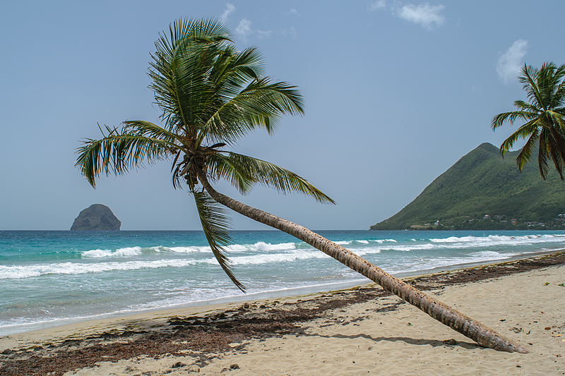 10 lieux incontournables à découvrir en Martinique Bon Voyage