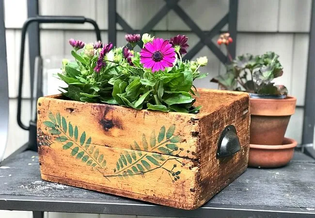 Antique Stenciled Rustic Crate with flowers