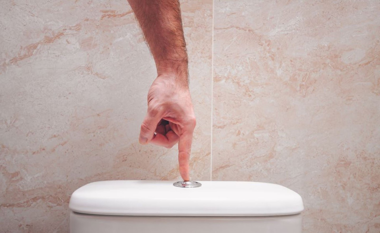 Thisoldtoilet Replacement Toilet Lids and Seats The One Thing You