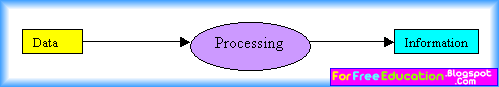 Define Data and Information With Examples | Perfect Computer Notes