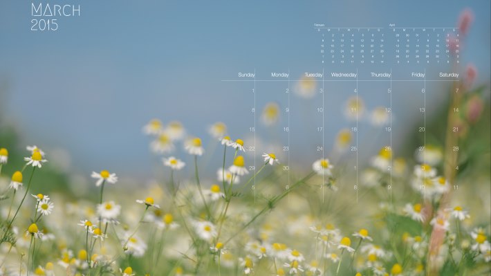Wallpaper: 2015 Calendar: March