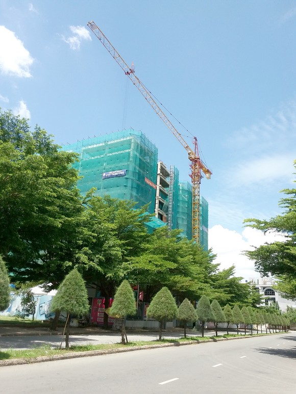 Môi trường nhiều cây xanh moi truong cay xanh
