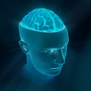 human-body-mystery-of-brain