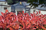 Fotinias frente a la entrada del recinto