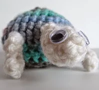 http://www.ravelry.com/patterns/library/eugenie--amigurumi-turtle-pattern