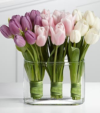 A Remedy For Floppy Tulips