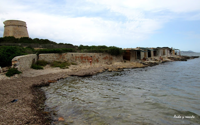 qué-ver-en-Ibiza cala sa rosa en Ibiza. Parque natural de las Salinas de ibiza y Formentera
