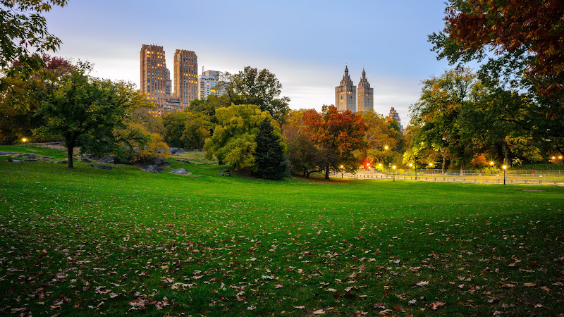 View from Central Park, NY