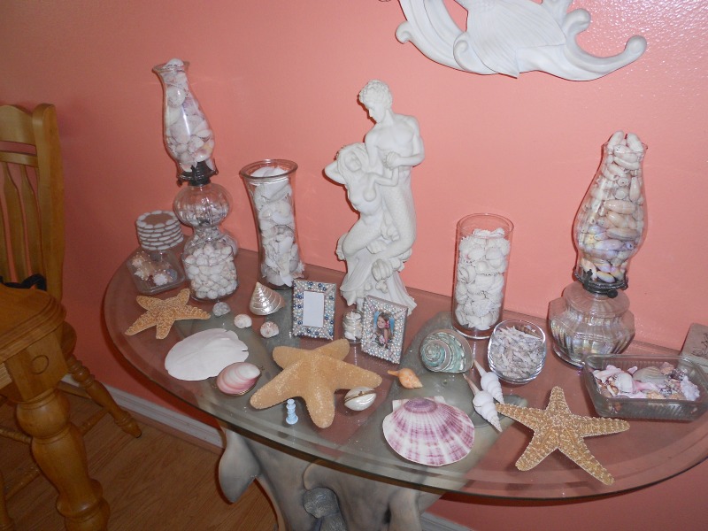 Del's Shells: More Ways to Display Shells