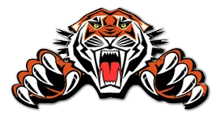 Go Tigers