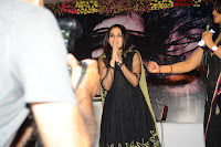 Three Audio Launch Gallery [Andhrula Music]