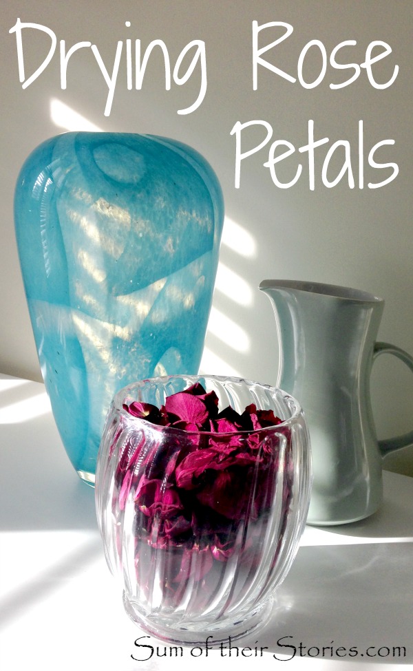 How to dry Rose Petals Sum of their Stories